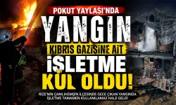 Pokut Yaylası’nda Yangın: Kıbrıs Gazisinin İşletmesi Yandı