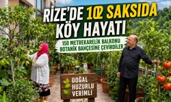 Rize'de 102 Saksıda Botanik Köy Hayatı
