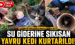 Rize'de Mahallelinin 4 Günlük Kedi Nöbeti Mutlu Sonla Bitti