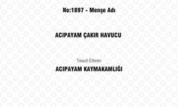 Acıpayam Çakır Havucu coğrafi işaretle tescillendi