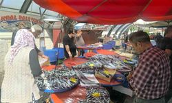 Afyonkarahisar'da balıkçı tezgahlarında hareketlilik başladı
