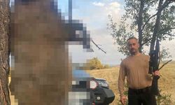 Akdağmadeni'nde yaklaşık yarım tonluk dev yaban domuzu öldürüldü