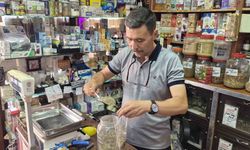Aktardan mevsim geçişlerinde bağışıklığı güçlendiren doğal ürün tavsiyeleri