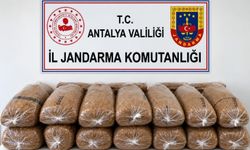 Alanya'da 144 kilo kaçak tütün ele geçirildi