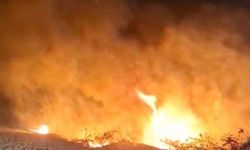 Alevlerin arasında kalan at son anda kurtarıldı