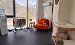 Anne dostu oto showroom