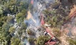 Antalya'da ormanlık alanda yangın