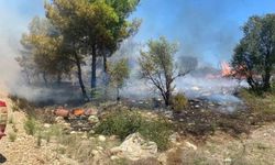 Antalya'da zirai alanda çıkan yangın büyümeden söndürüldü