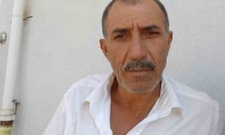 Arı sokması sonrasında rahatsızlanan vatandaş hayatını kaybetti