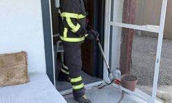Arsuz'da eve giren yılanı itfaiye yakaladı