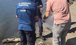 Atikhisar Barjı'ndaki balık ölümleri incelendi