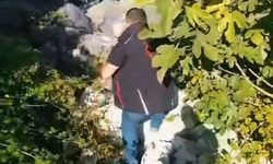 Avcılar ihbar etti, ekipler topladı: Kaçak avcılık düzenekleri imha edildi