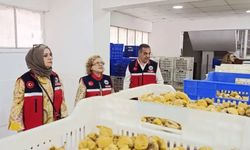 Aydın'ın sarı altını incir için denetimler sıklaştırıldı