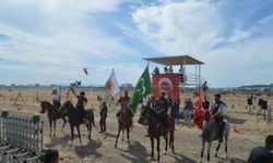 Ayvalık'ta rahvan at yarışlarında 100 at piste çıktı