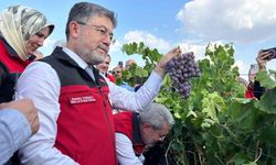 Bakan Yumaklı: '3 milyon 850 bin tonluk bir üzüm üretimi ülkemizde gerçekleşmiş olacak'