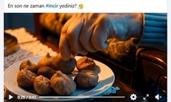 Başkan Çerçioğlu'ndan incir tanıtım filmi