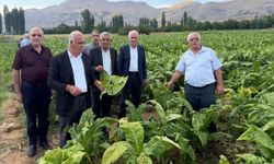 Başkan Özkan: 'Çelikhan'da dolu yağışı tütün üreticilerini vurdu'