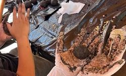Bilecik'te çocuklar doğa için tohum topu hazırladı