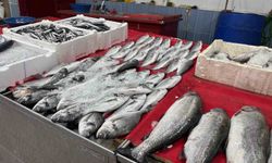 Bingöl'de balık tezgahları şenlendi