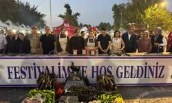 Birecik'te Kelaynak, Patlıcan ve Fıstık Festivali coşkusu