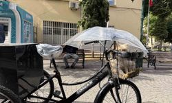 Bisiklet sepetindeki köpeğini yağmurdan şemsiye ile korudu