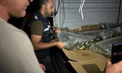 Bitlis'te göl ve göletlere 1 milyon 397 bin 500 yavru sazan bırakıldı
