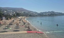 Bodrum'a iki gemiyle 2 bin 484 turist geldi