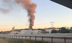 Bolu'da geri dönüşüm fabrikasında yangın çıktı