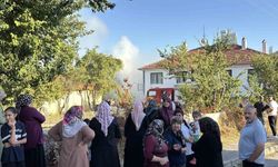 Bolu'da otluk alanda çıkan yangın, 3 eve sıçradı