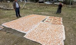 Boyabat'ta kış hazırlıkları başladı: Tarhana mesaisi