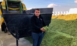 Bu slajlık yem ve saman hem ekonomik hem de verimli