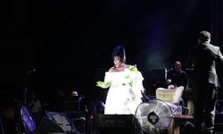 Bülent Ersoy'dan elmalı şov