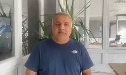 Bursa'nın içme suyu barajına giden derede balık ölümleri korkuttu