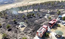 Çorum'da örtü yangını ormana sıçradı, 800 dönüm alan yandı