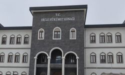 Dicle'de 8 ayda 9 kilo 20 gram esrar, 5 bin 967 kök kenevir ele geçirildi