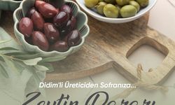 Didim Belediye Başkanı Gençay: 'Zeytin üreticilerimiz için yeni bir satış alanı oluşturuyoruz'