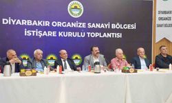 Diyarbakır OSB'de İstişare Kurulu oluşturuldu