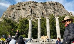 Doğaseverler, Anadolu'nun Pompeisi Priene Antik Kenti'ne dikkat çekti