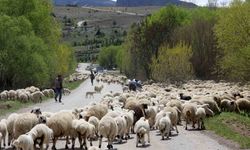 Erzincan'da yaylacılar, 5 aylık sezonun ardından dönüş yolculuğuna başladı