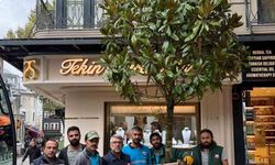 Fatih'te 'dükkanın önünü kapatıyor' denilerek kesilen ağacın yerine yenisi dikildi