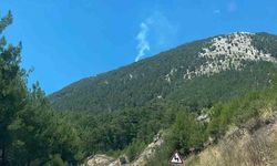 Fethiye'de orman yangını yangını kontrol altına alındı