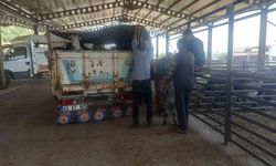Gediz Belediyesi hayvan pazarı pazartesi günleri kurulacak