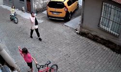 Giresun'da küçük Nehir'in bayrak hassasiyeti kamerada
