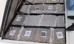 Gümrük Muhafaza ekiplerinden uyuşturucu kaçakçılığına darbe: 387 kilo skunk ele geçirildi