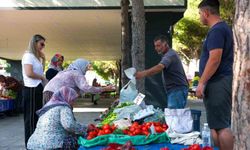 Hacıömerli'de salı pazarı bereketi