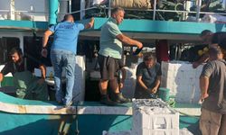 Hamsi avında kota dönemi başladı, denetimler sürüyor