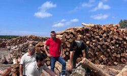 Hatay Orman Bölge Müdürü Günay, İskenderun Sahil Orman Deposu'nda incelemelerde bulundu