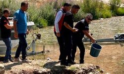Hatay'daki baraj ve göletlere 682 bin sazan yavrusu bırakıldı