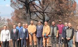 Hükümlüler ormanların yeniden yeşertilmesi için sahada