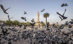 İzmir'in iklim deneyimi Avrupa'ya taşınacak